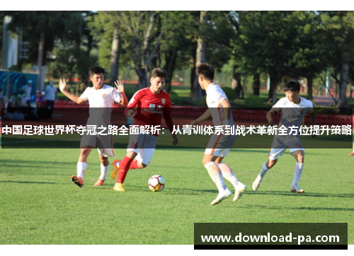 中国足球世界杯夺冠之路全面解析：从青训体系到战术革新全方位提升策略