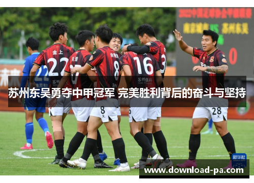 苏州东吴勇夺中甲冠军 完美胜利背后的奋斗与坚持
