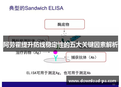 阿劳霍提升防线稳定性的五大关键因素解析