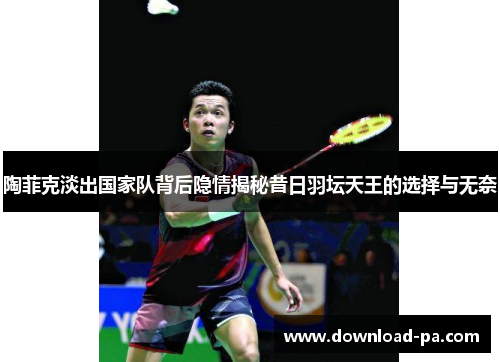 陶菲克淡出国家队背后隐情揭秘昔日羽坛天王的选择与无奈